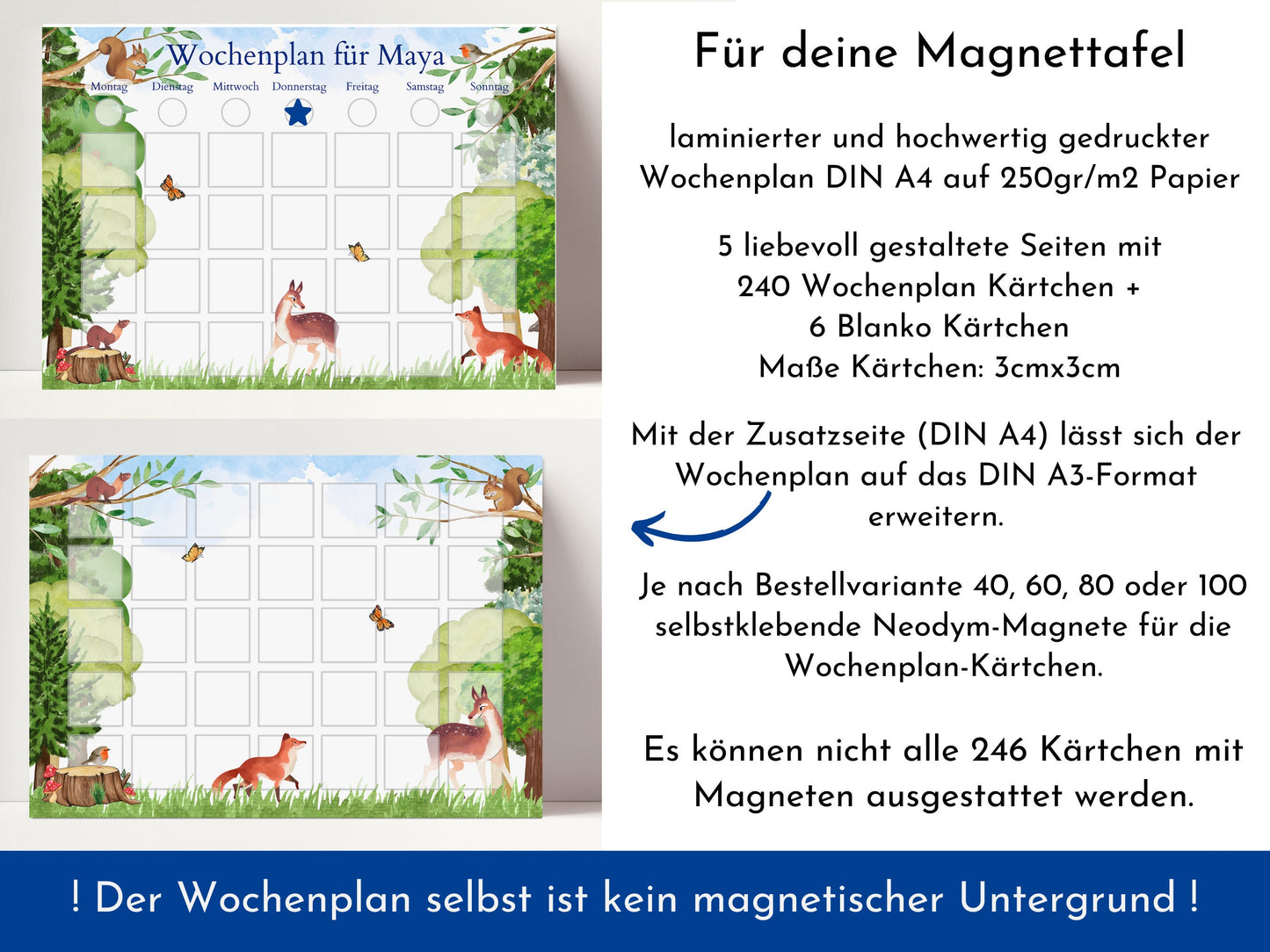 Magnetboard Wochenplan "Wald und Wiese" für Kinder, 246 Routine Karten, Bildkarten, Magneten, Montessori Routineplan von Familie Nordstern