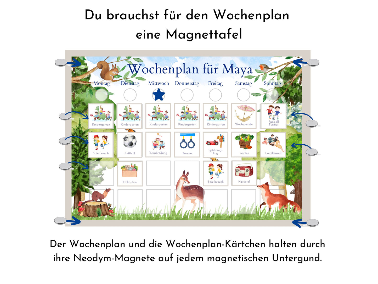 Magnetboard Wochenplan "Wald und Wiese" für Kinder, 246 Routine Karten, Bildkarten, Magneten, Montessori Routineplan von Familie Nordstern