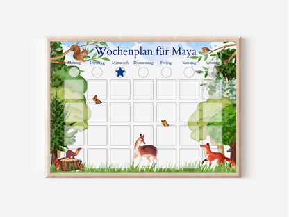 Magnetboard Wochenplan "Wald und Wiese" für Kinder, 246 Routine Karten, Bildkarten, Magneten, Montessori Routineplan von Familie Nordstern