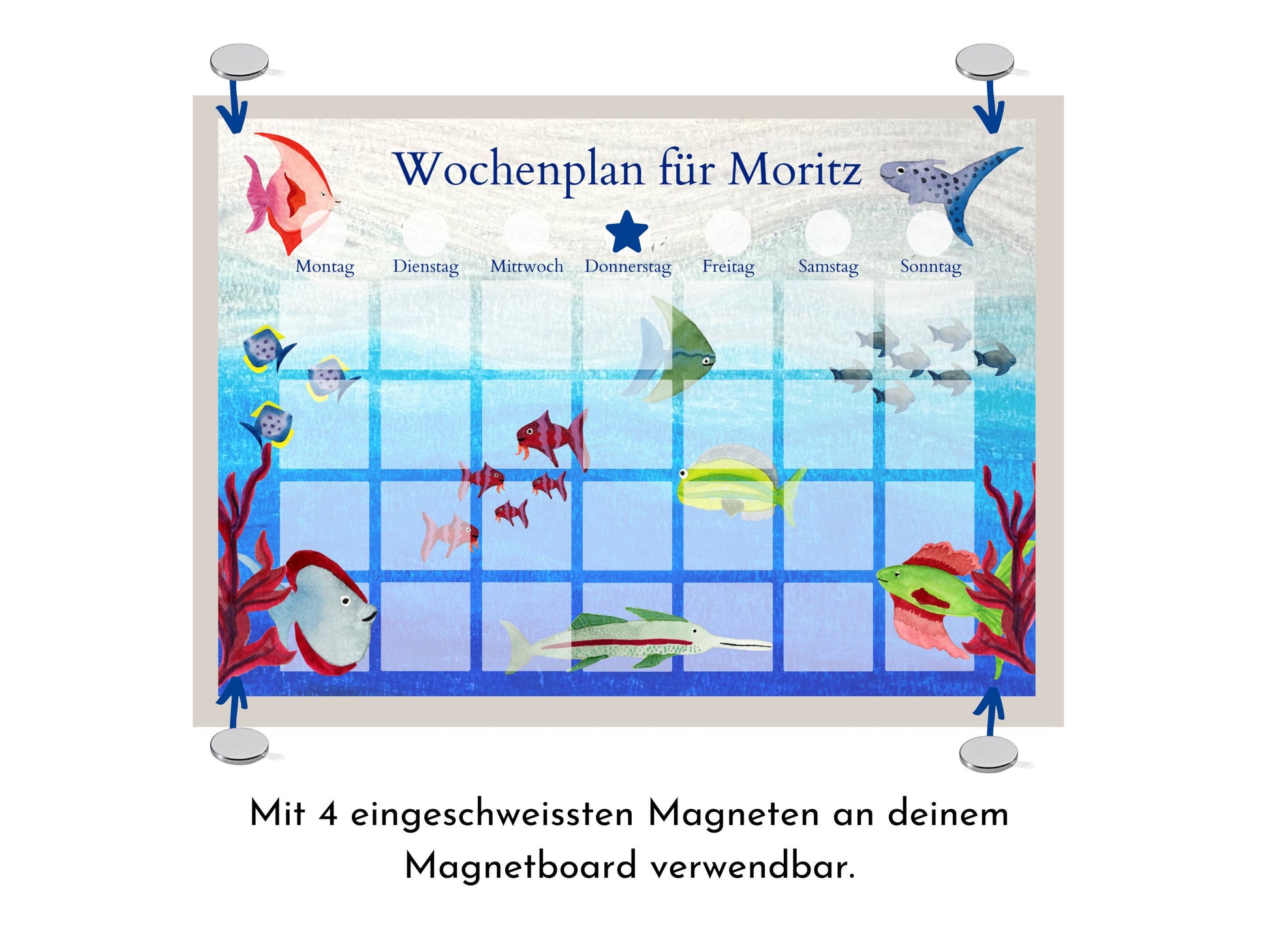 Wochenplan "Aquarium" mit Name personalisiert, 246 Routine Karten, laminiert magnetisch Klett, Routineplan für Kinder und Jugendliche