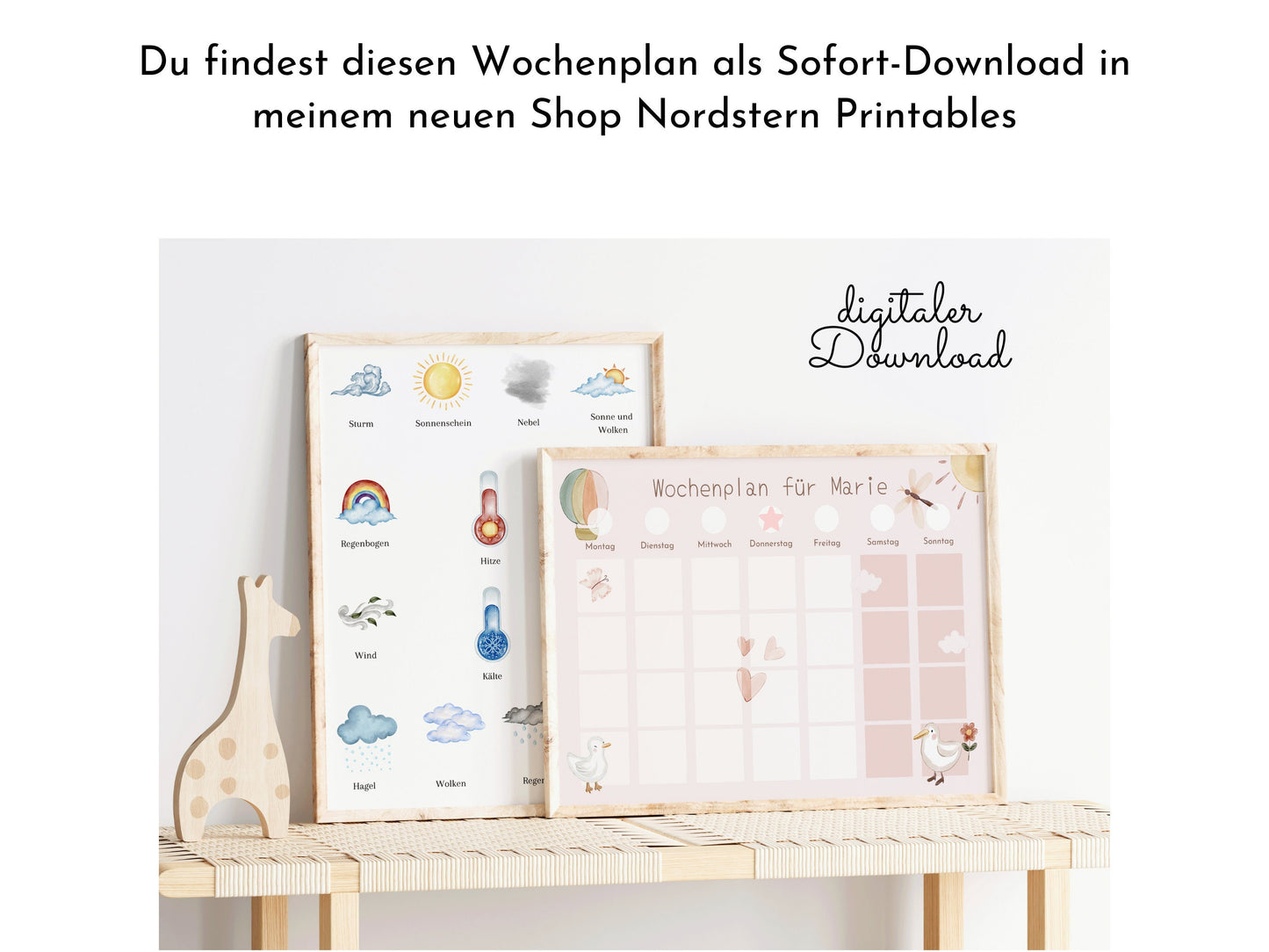 Wochenplan "Schmetterlinge" mit Name personalisiert, 246 Routine Karten, laminiert magnetisch Klett, Routineplan für Kinder und Jugendliche