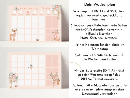 Wochenplan "Fantasie" mit Name personalisiert, 246 Routine Karten, laminiert magnetisch Klett, Routineplan für Kinder und Jugendliche