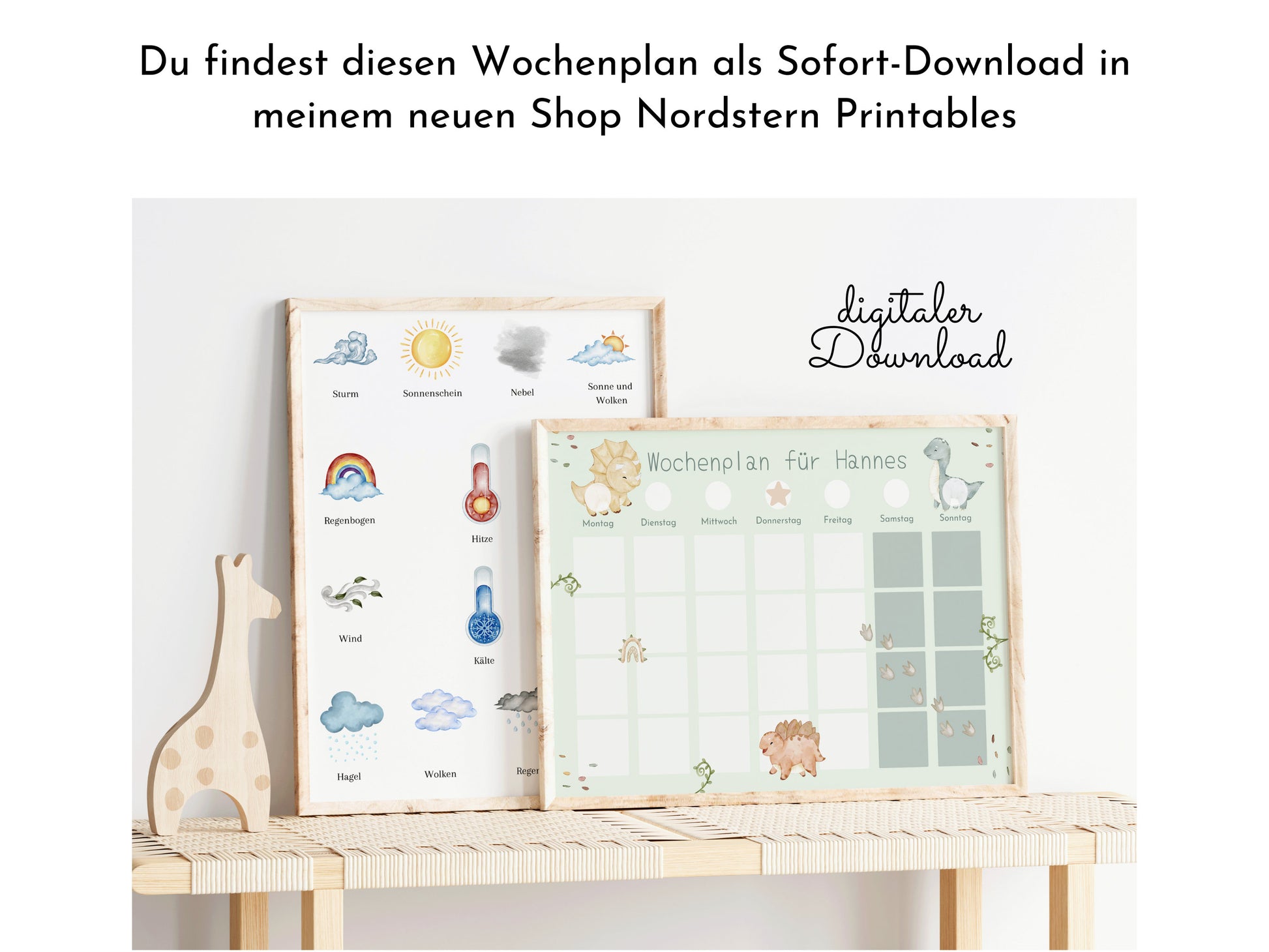 Wochenplan "Baby Dinos" mit Name personalisiert, 246 Routine Karten, laminiert magnetisch Klett, Routineplan für Kinder Familie Nordstern