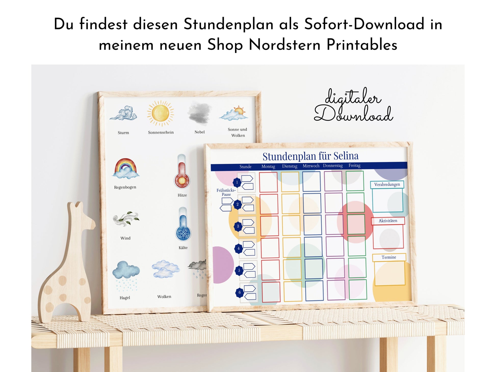 Stundenplan mit 70 Schulfach Kärtchen, personalisiert für die Grundschule, laminiert magnetisch, Geschenk Einschulung "Bunte Kreise"