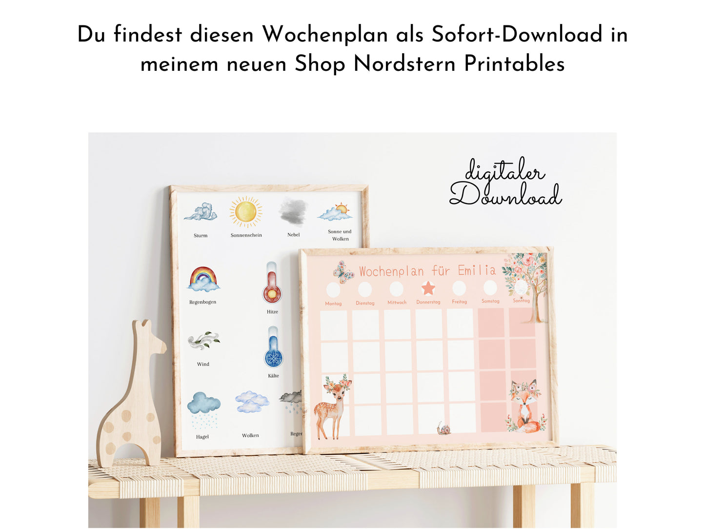 Wochenplan "Fantasie" mit Name personalisiert, 246 Routine Karten, laminiert magnetisch Klett, Routineplan für Kinder und Jugendliche