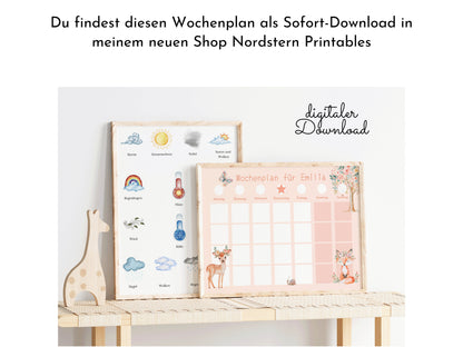 Wochenplan "Fantasie" mit Name personalisiert, 246 Routine Karten, laminiert magnetisch Klett, Routineplan für Kinder und Jugendliche