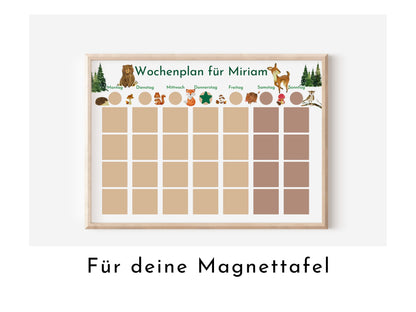 Personalisierter Magnetboard Wochenplan "Wald und Wiese" für Kinder, 246 Routine Karten, Tagesplan mit 40-100 Magneten, Montessori Routine