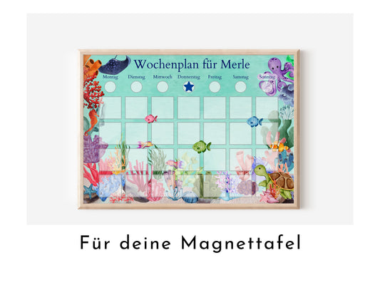 Magnetboard Wochenplan "Korallenriff" personalisiert für Kinder, 246 Routine Karten, 40-80 Neodym-Magnete, Routineplan von Familie Nordstern