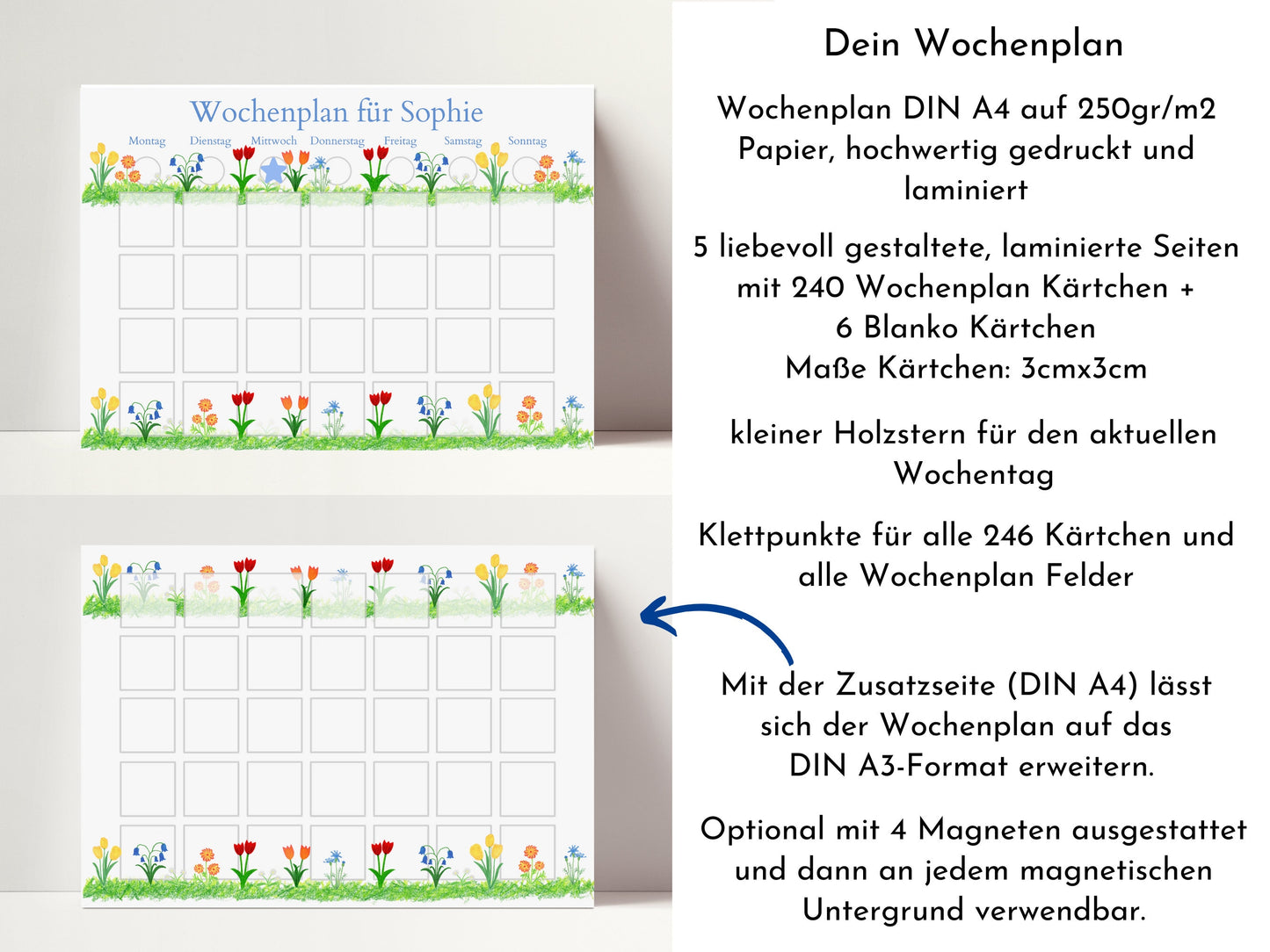 Wochenplan "Frühlingsblumen" mit Name personalisiert, 246 Routine Karten, laminiert magnetisch Klett, Routineplan für Kinder und Jugendliche