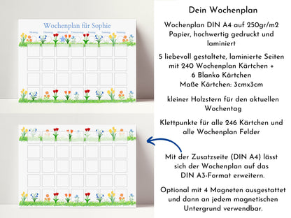 Wochenplan "Frühlingsblumen" mit Name personalisiert, 246 Routine Karten, laminiert magnetisch Klett, Routineplan für Kinder und Jugendliche